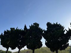 -金沙滩海水浴场(万平口景区4号门扬帆广场店)