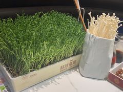 -领鲜天下·焗海鲜·花胶鸡(天目里店)