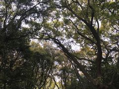 -热田神宫