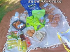 -上海长兴岛郊野公园