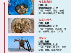 -巧克力渔家.小船海鲜胶东菜(万平口店)