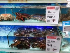 水产区-盒马鲜生(红莲店)