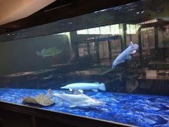 -程记私房火锅兔(总店)