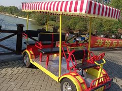 -上海海湾国家森林公园