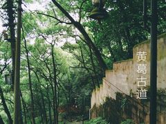 -黄葛古道