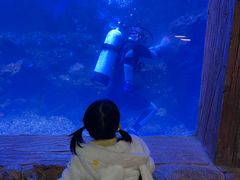 -华夏文旅海洋公园