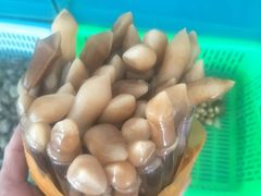 -崖口红树林海鲜餐厅