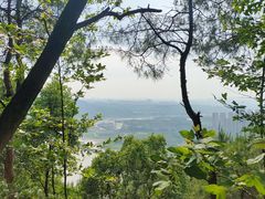 -铁山坪森林公园