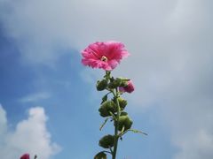 -九里河湿地公园