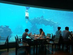 -海棠湾洲际-涛·海底餐厅·美人鱼·自助餐·海底隧道