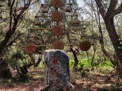 -北海金海湾红树林生态旅游区