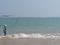 -东郊椰林