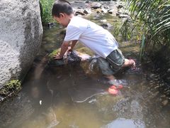 -碓臼峪自然风景区