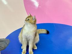 -福田卓悦INTOWN购物中心