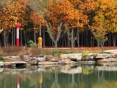 -羊亭河湿地公园