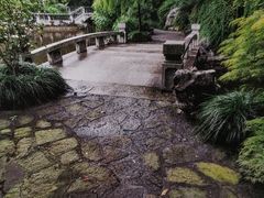 -申粤轩酒楼·三十年粤菜经典(丁香花园店)