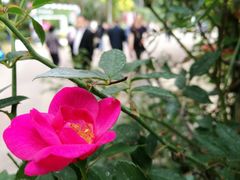 -人民公园(罗湖区)