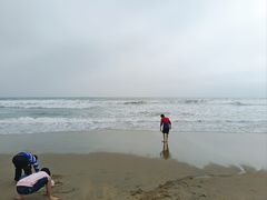 -东海岛旅游度假区