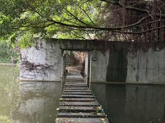 -燕晗山郊野公园