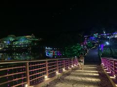 -大塘金香草谷