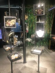 -周大福CHOW TAI FOOK(金光华广场店)