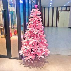 -DOS HOP潮上舞蹈