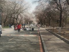 -吉林大学(南岭校区)