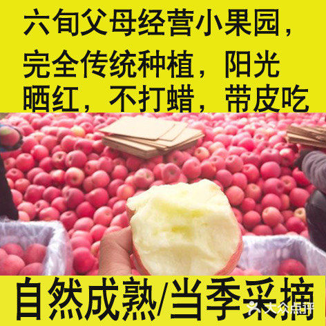 十一，来门头沟爬山、摘苹果