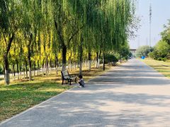 -永定河休闲森林公园