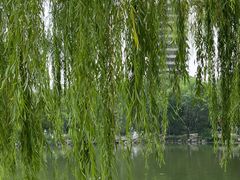 -博雅塔