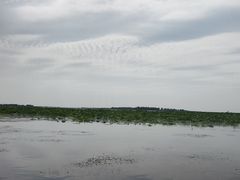 -白洋淀景区