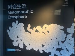 -现代汽车文化中心 Hyundai Motorstudio Beijing