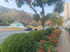 -攀枝花公园