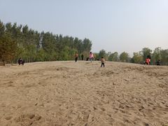 -东郊湿地公园
