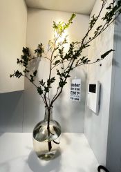 -颜续美容美体