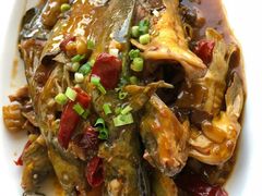 黄骨鱼-旅宁大酒店