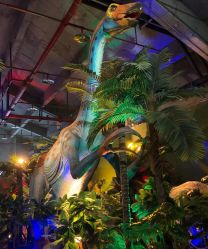 -恐龙探索乐园(磁器口店)
