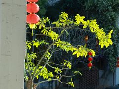 -广州市紫泥堂文化创意园景区
