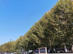 -鞠氏黑芝麻糊(水塔店)