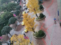 -皇轩大饭店(观音桥店)