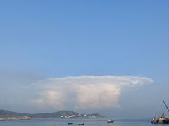 -枸杞岛