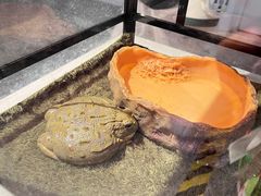 -上海昆虫博物馆