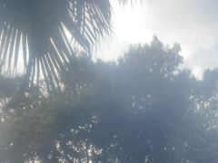 -碧水湾温泉