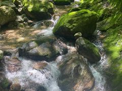 -牛背梁国家森林公园