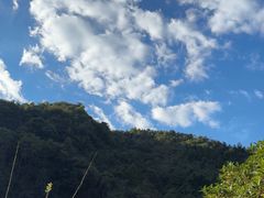 -石台牯牛降景区