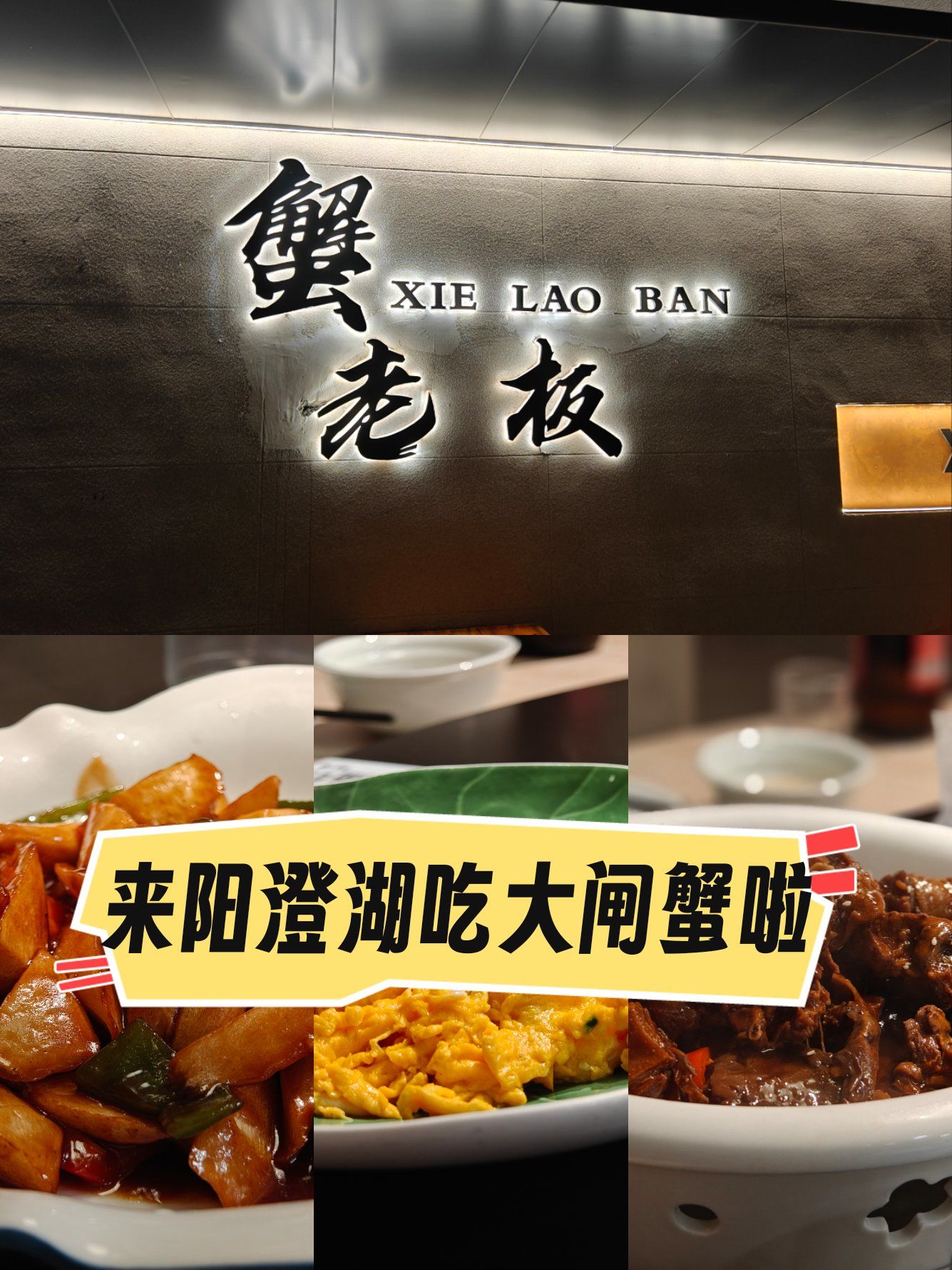 蟹老板,阳澄湖大闸蟹网红餐厅