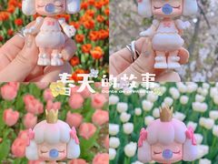 -苏州上方山国家森林公园