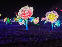 -国际非物质文化遗产博览园