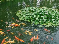 -长春市南湖公园