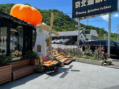 -京北渔家傲